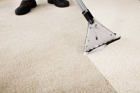 shampoo a carpet with steam cleaner